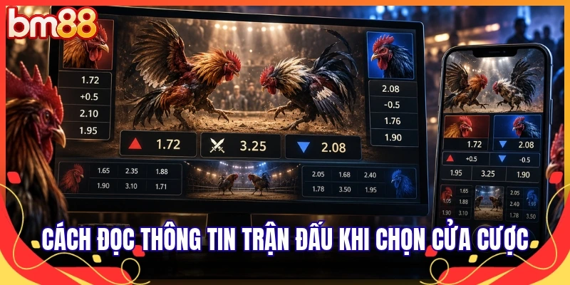Cách đọc thông tin trận đấu khi chọn cửa cược