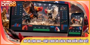 đá gà cựa dao