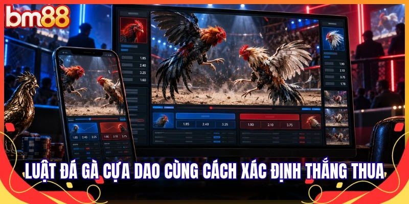 Luật đá gà cựa dao cùng cách xác định thắng thua