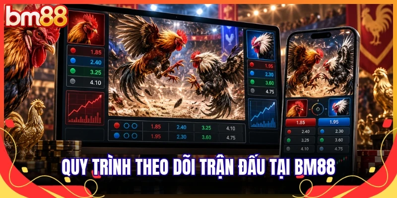 Quy trình theo dõi trận đấu tại BM88