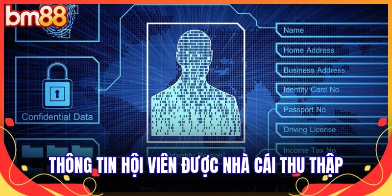 Thông tin hội viên được nhà cái thu thập